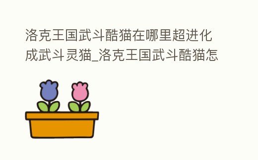 洛克王國武斗酷貓在哪里超進化成武斗靈貓_洛克王國武斗酷貓怎么超進化