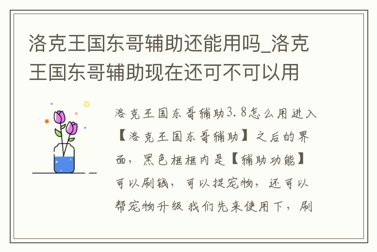 洛克王國(guó)東哥輔助還能用嗎_洛克王國(guó)東哥輔助現(xiàn)在還可不可以用