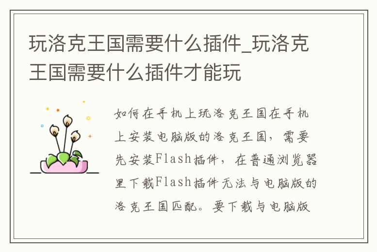 玩洛克王國需要什么插件_玩洛克王國需要什么插件才能玩