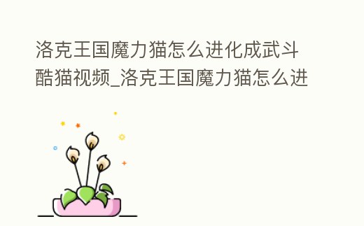 洛克王國魔力貓怎么進化成武斗酷貓視頻_洛克王國魔力貓怎么進化成武斗靈貓陽光收集瓶