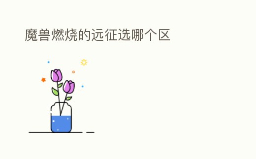 魔獸燃燒的遠征選哪個區(qū)