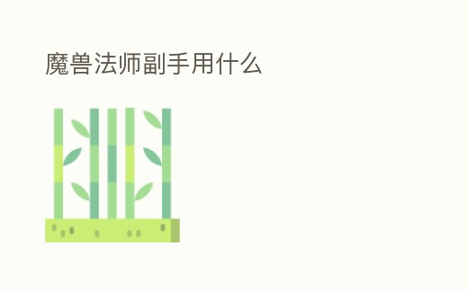 魔獸法師副手用什么
