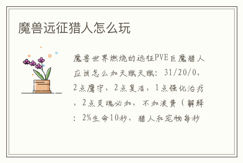 魔獸遠征獵人怎么玩