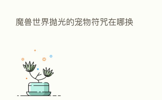 魔獸世界拋光的寵物符咒在哪換