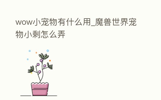 wow小寵物有什么用_魔獸世界寵物小剩怎么弄