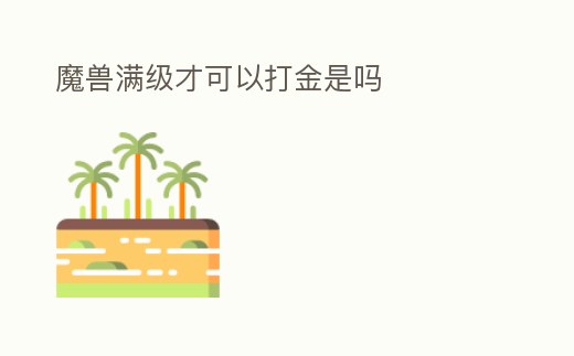 魔獸滿級才可以打金是嗎