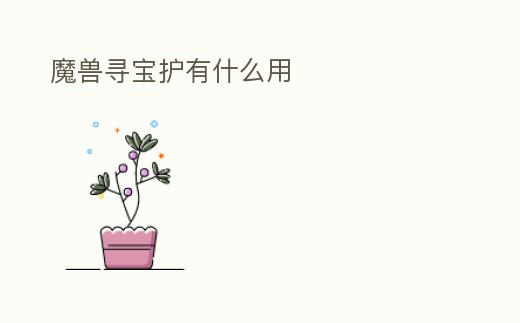 魔獸尋寶護有什么用