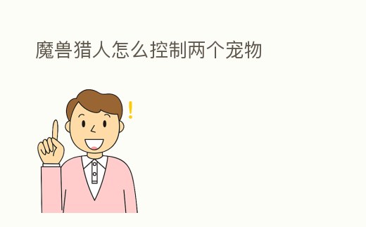 魔獸獵人怎么控制兩個寵物
