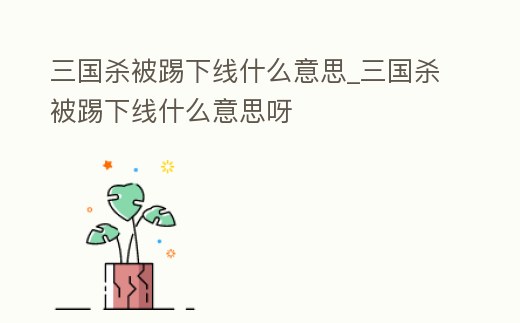 三國殺被踢下線什么意思_三國殺被踢下線什么意思呀