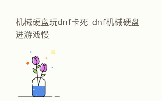 機械硬盤玩dnf卡死_dnf機械硬盤進游戲慢