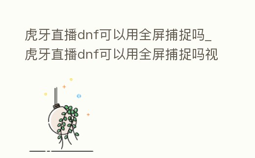 虎牙直播dnf可以用全屏捕捉嗎_虎牙直播dnf可以用全屏捕捉嗎視頻