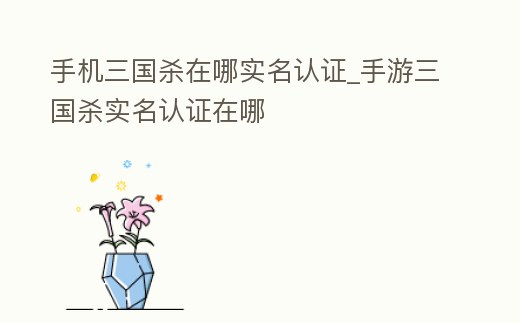 手機三國殺在哪實名認證_手游三國殺實名認證在哪