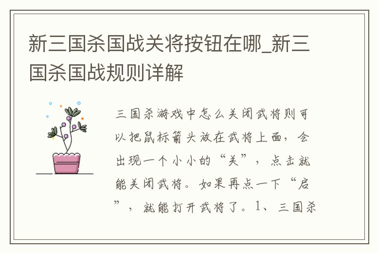 新三國殺國戰關將按鈕在哪_新三國殺國戰規則詳解