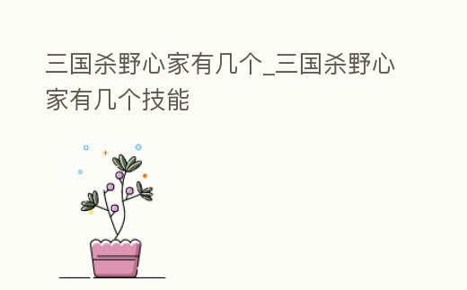 三國(guó)殺野心家有幾個(gè)_三國(guó)殺野心家有幾個(gè)技能