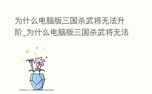 為什么電腦版三國殺武將無法升階_為什么電腦版三國殺武將無法升階技能