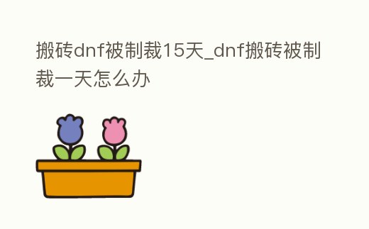 搬磚dnf被制裁15天_dnf搬磚被制裁一天怎么辦