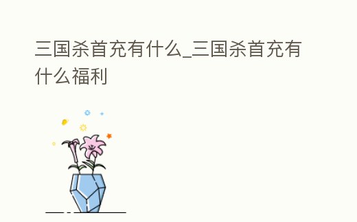 三國(guó)殺首充有什么_三國(guó)殺首充有什么福利