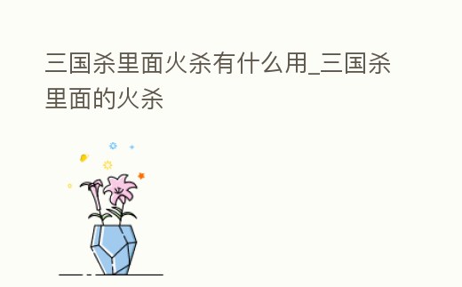 三國殺里面火殺有什么用_三國殺里面的火殺