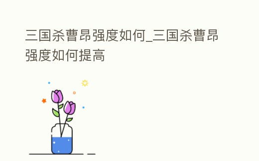 三國殺曹昂強度如何_三國殺曹昂強度如何提高