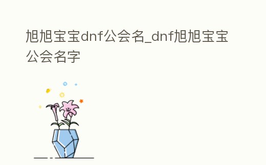 旭旭寶寶dnf公會(huì)名_dnf旭旭寶寶公會(huì)名字