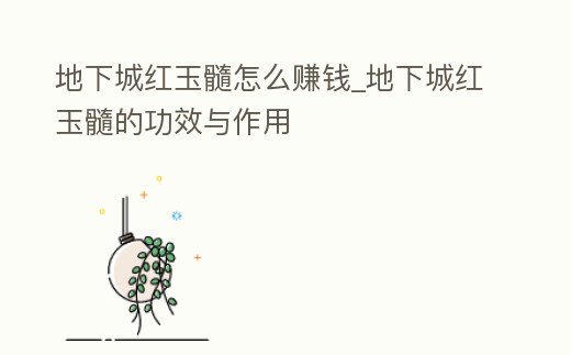 地下城紅玉髓怎么賺錢_地下城紅玉髓的功效與作用