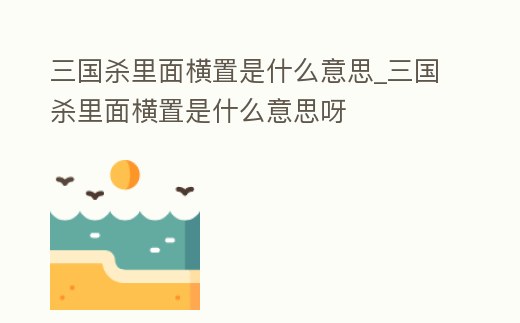 三國殺里面橫置是什么意思_三國殺里面橫置是什么意思呀