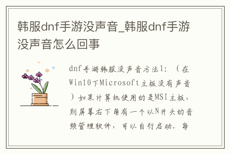 韓服dnf手游沒聲音_韓服dnf手游沒聲音怎么回事