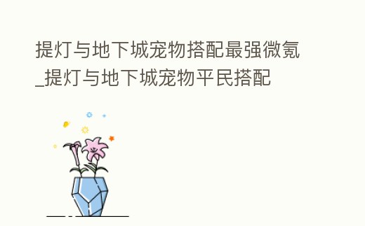 提燈與地下城寵物搭配最強微氪_提燈與地下城寵物平民搭配