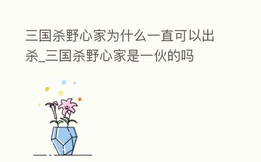 三國殺野心家為什么一直可以出殺_三國殺野心家是一伙的嗎