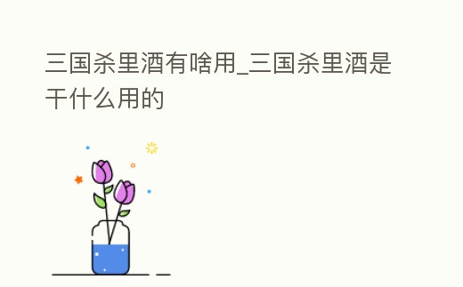 三國殺里酒有啥用_三國殺里酒是干什么用的