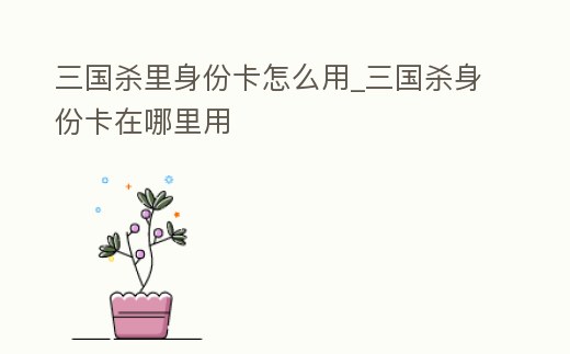 三國殺里身份卡怎么用_三國殺身份卡在哪里用