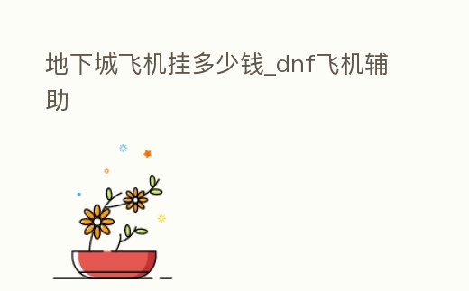 地下城飛機掛多少錢_dnf飛機輔助