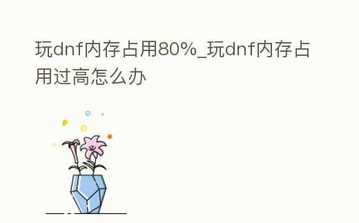 玩dnf內存占用80%_玩dnf內存占用過高怎么辦