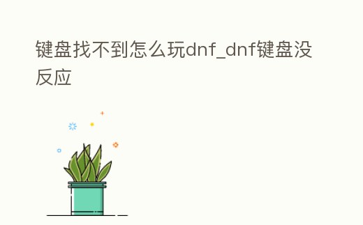 鍵盤找不到怎么玩dnf_dnf鍵盤沒反應