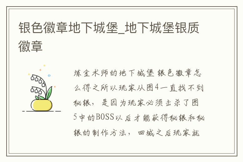 銀色徽章地下城堡_地下城堡銀質徽章