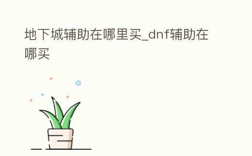 地下城輔助在哪里買_dnf輔助在哪買