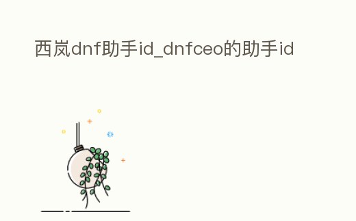 西嵐dnf助手id_dnfceo的助手id