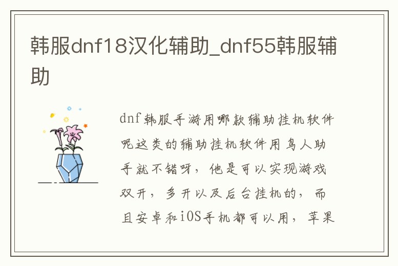 韓服dnf18漢化輔助_dnf55韓服輔助