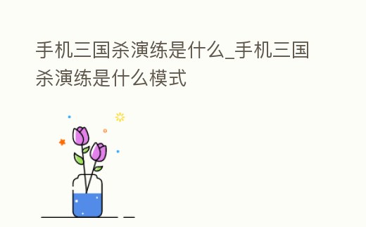 手機(jī)三國殺演練是什么_手機(jī)三國殺演練是什么模式