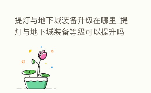 提燈與地下城裝備升級(jí)在哪里_提燈與地下城裝備等級(jí)可以提升嗎