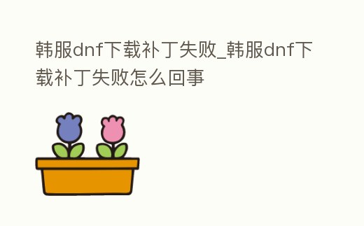 韓服dnf下載補丁失敗_韓服dnf下載補丁失敗怎么回事