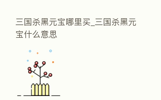 三國(guó)殺黑元寶哪里買(mǎi)_三國(guó)殺黑元寶什么意思