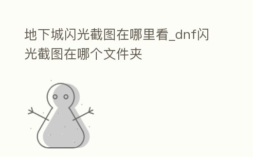 地下城閃光截圖在哪里看_dnf閃光截圖在哪個文件夾