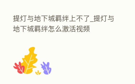 提燈與地下城羈絆上不了_提燈與地下城羈絆怎么激活視頻