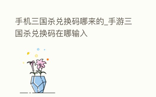 手機三國殺兌換碼哪來的_手游三國殺兌換碼在哪輸入