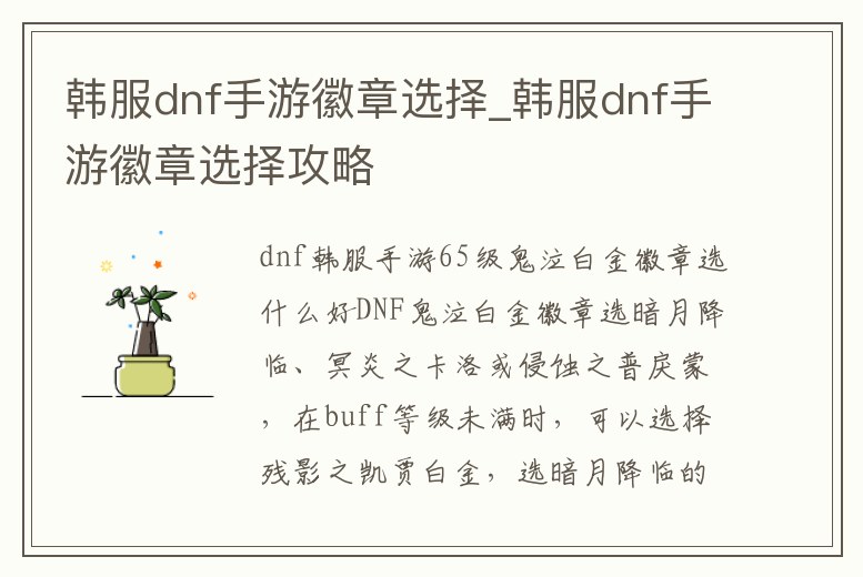 韓服dnf手游徽章選擇_韓服dnf手游徽章選擇攻略