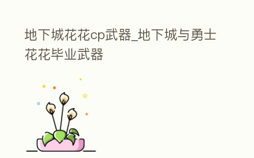 地下城花花cp武器_地下城與勇士花花畢業武器
