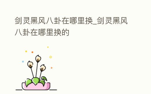 劍靈黑風八卦在哪里換_劍靈黑風八卦在哪里換的
