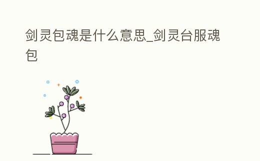 劍靈包魂是什么意思_劍靈臺服魂包