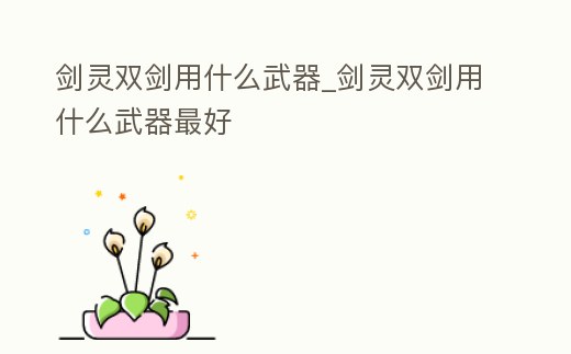 劍靈雙劍用什么武器_劍靈雙劍用什么武器最好
